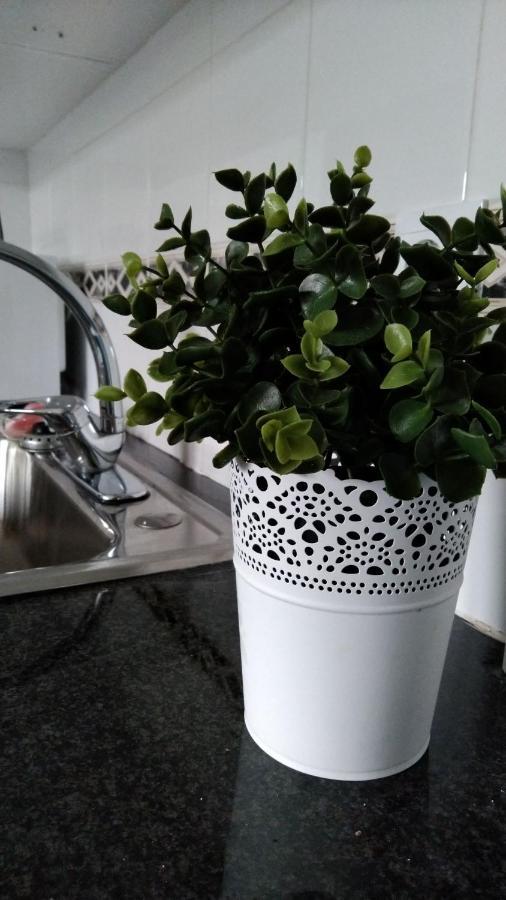 Tomarhousing - Garden 아파트 외부 사진
